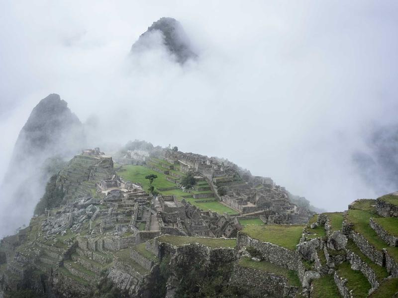 sudoku multiplayer mode