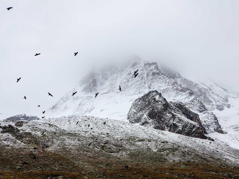 sudoku hint feature screenshot 2